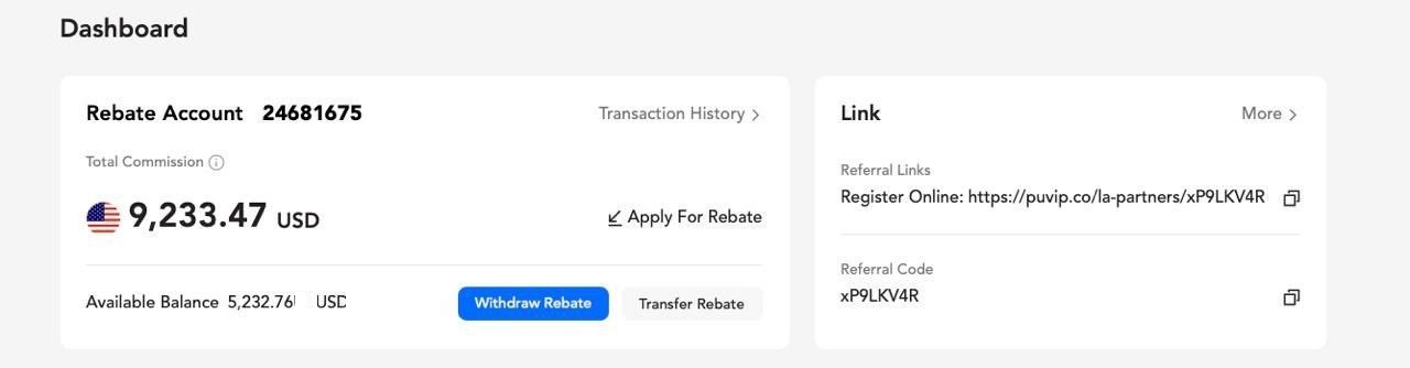 Partner rebate account result